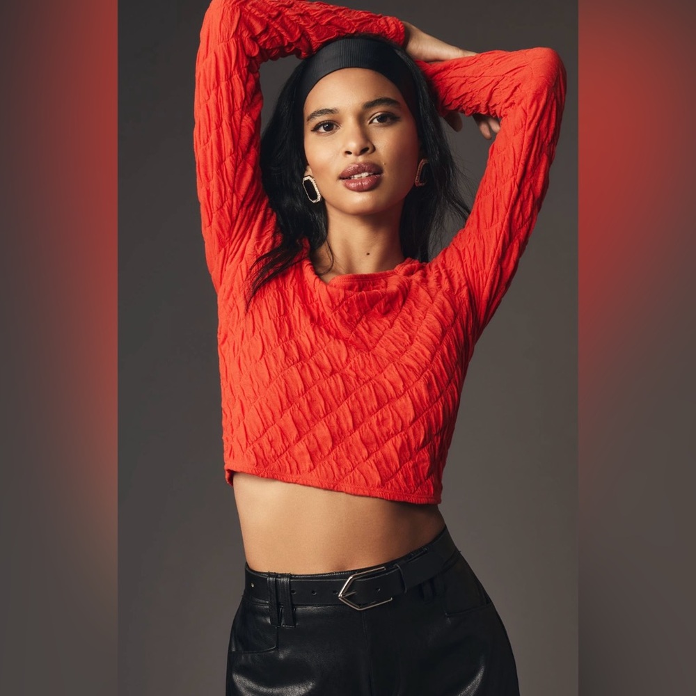Maeve Long-Sleeve Modern Popcorn Crop Top